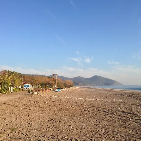 库特勒酒店 酒店