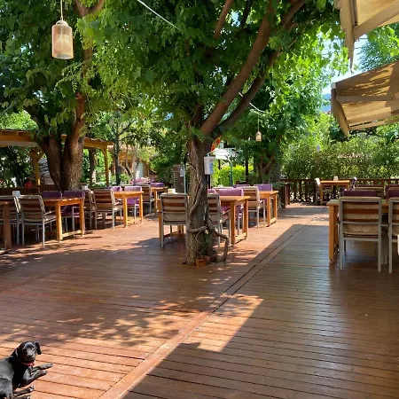 Kutle Hotel