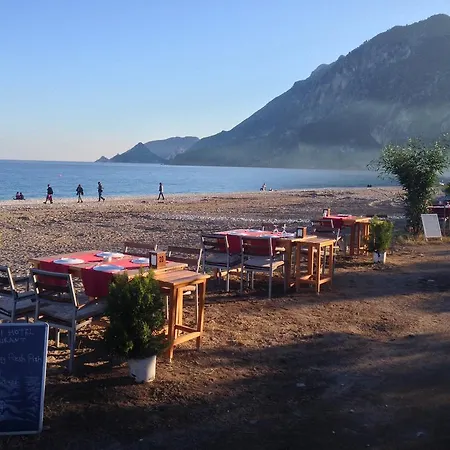 Kutle Çıralı