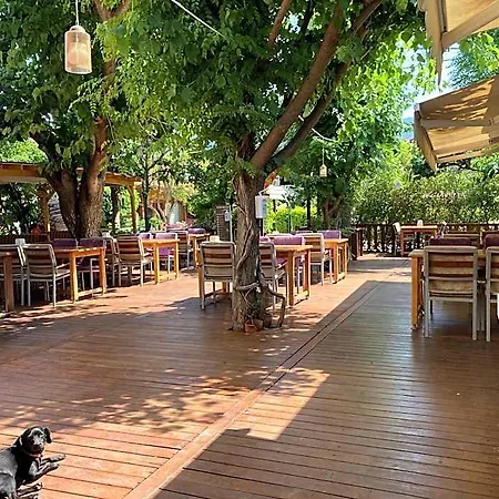 Kutle 3* Çıralı