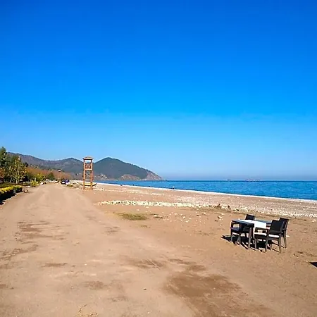 Kutle 3* Çıralı