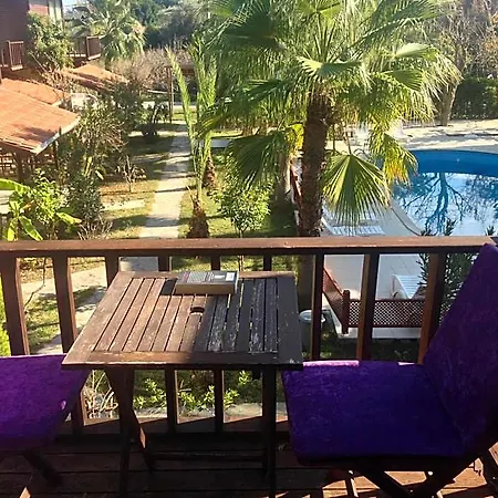 Kutle 3* Çıralı