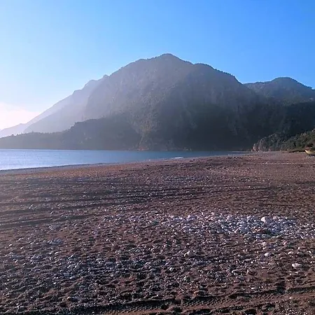 Kutle 3* Çıralı