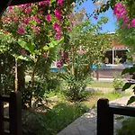Kutle Çıralı