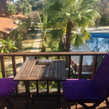 Kutle 3* Çıralı